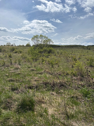 Teren intravilan, cota de ½, in suprafata de 2150 mp situat in loc.Macicasu com. Chinteni, jud. Cluj