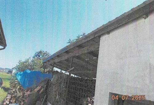 Foto nr. 9