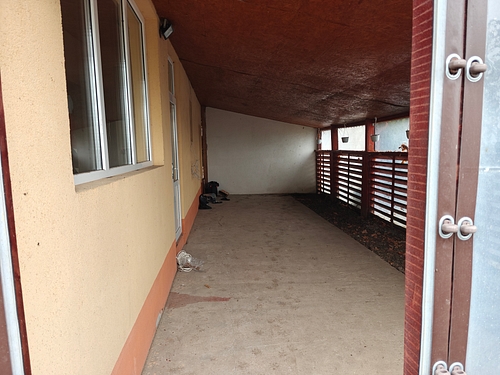 POZA17