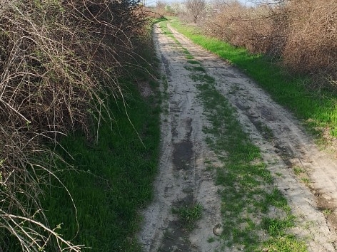 FOTO 3
