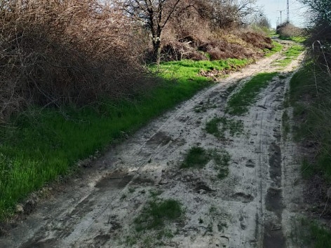 FOTO 5
