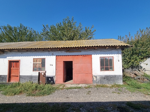 POZA 5