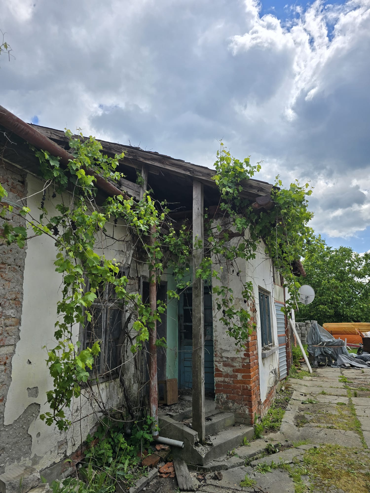 poza 4