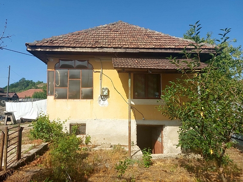poza 4