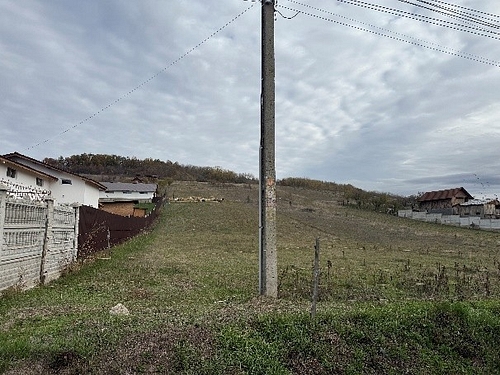 poza 4