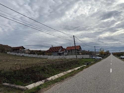 Poza 3