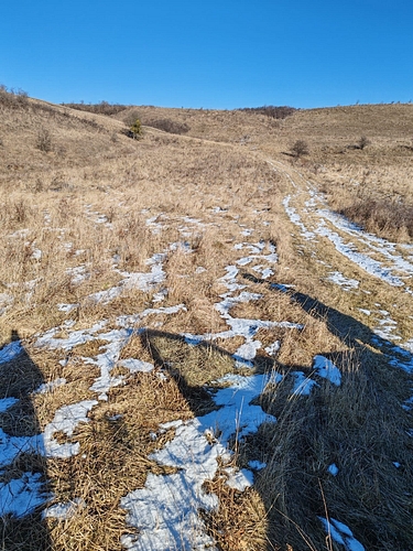 Teren extravilan in suprafata de 5800 MP, UAT Capusu Mare, Jud. Cluj