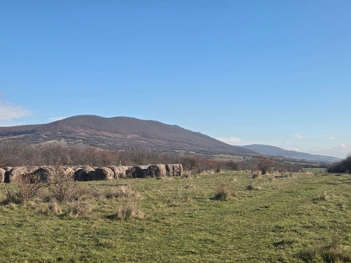 COTA PARTE DE 3/16 DIN TEREN EXTRAVILAN in suprafata de 3500 MP, situat in jud. Bistrita-Nasaud
