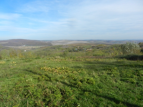 Teren agricol - in suprafata de 10000 MP