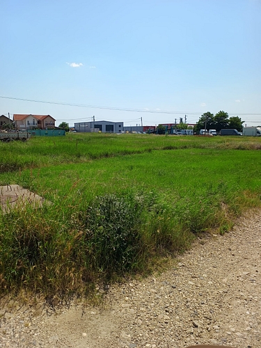 poza 5