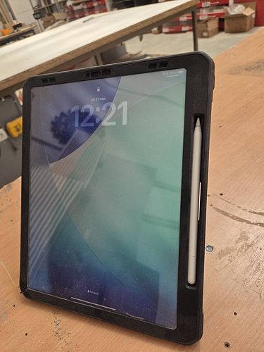 iPAD 64.0;  iPAD Pro 12,9 inch