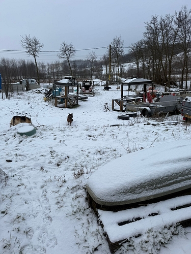 Teren agricol intravilan 500 mp situat în localitatea Gugeşti,comuna Boţeşti, jud Vaslui