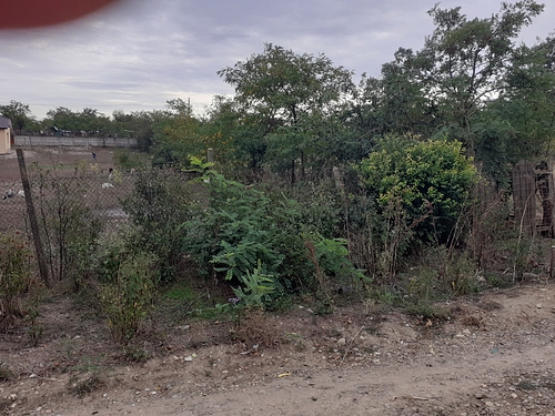 Teren agricol - intravilan in suprafata de 1000 MP, UAT Berezeni, Județul Vaslui