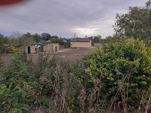 Teren agricol - intravilan in suprafata de 1000 MP, UAT Berezeni, Județul Vaslui