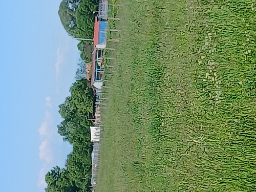 poza2