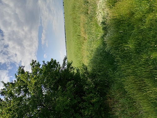 Teren agricol - EXTRAVILAN in suprafata de 12244 MP