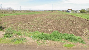Teren agricol - INTRAVILAN in suprafata de 1638 MP