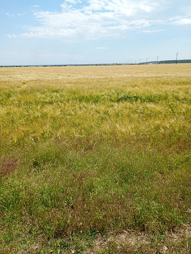 Teren agricol - EXTRAVILAN in suprafata de 395 MP