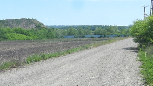 Teren agricol - in suprafata de 10000 MP