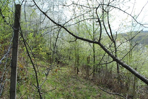 poza 1