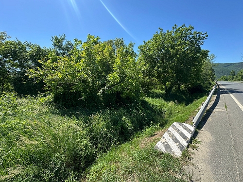 Teren agricol - in suprafata de 1220 MP