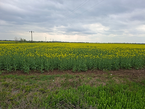 Teren agricol -