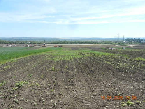 foto2