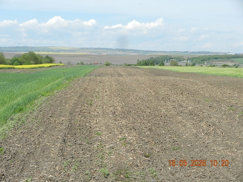 Teren agricol - in suprafata de 4731 MP
