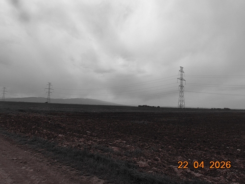 poza 3
