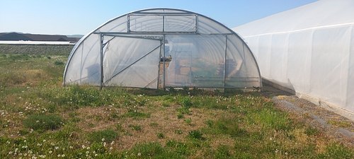 Solar nr.9