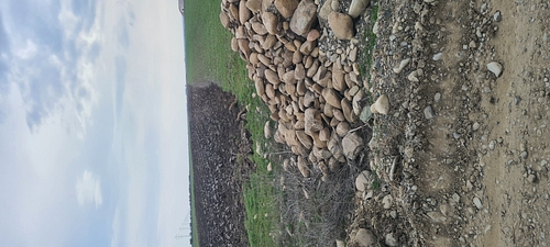 Teren agricol extravilan arabil - in suprafata de 3750 MP