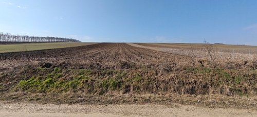 Teren agricol -