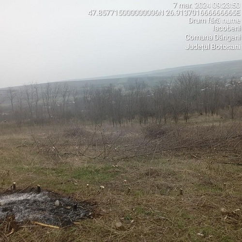 Foto 11