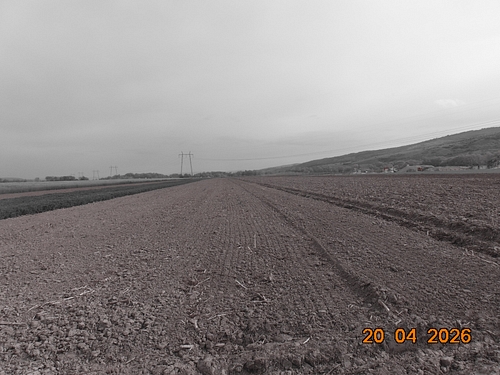 Teren agricol - ARABIL