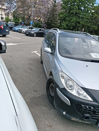 Autoturism marca PEUGEOT model  307