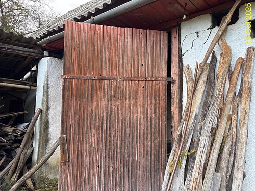 poza nr.13