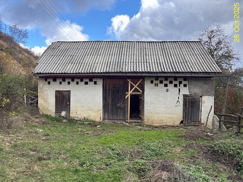 poza nr.5