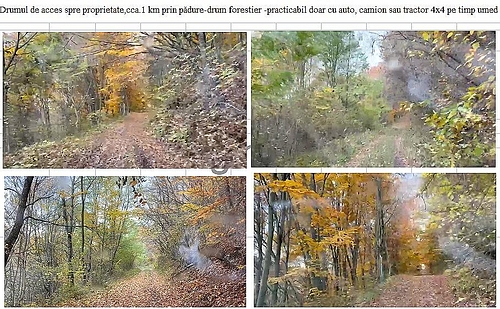 poza nr.15