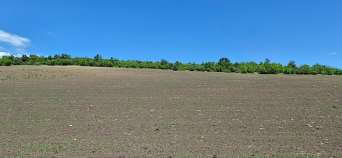 Poza 1