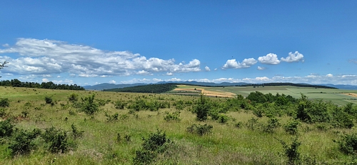 Poza 1