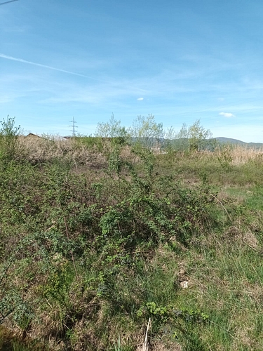 Teren Agricol 