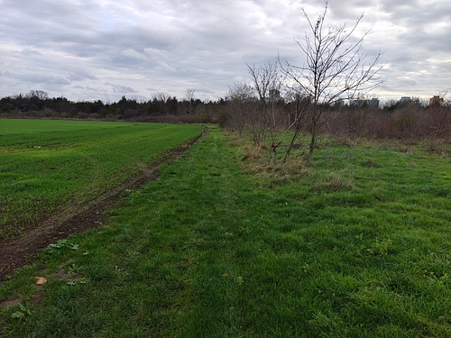 Teren extravilan agricol in suprafata de 584 mp, situat in com. 23 August, jud. Constanta - Lot 118