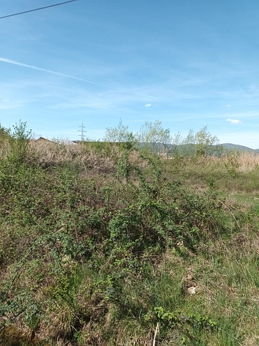 Teren agricol