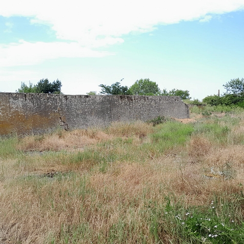 poza 5