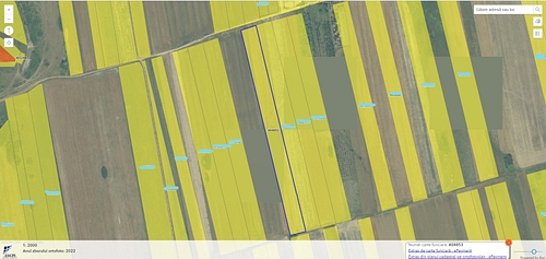 POZĂ TEREN AGRICOL EXTRAVILAN