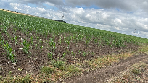 POZĂ TEREN AGRICOL EXTRAVILAN
