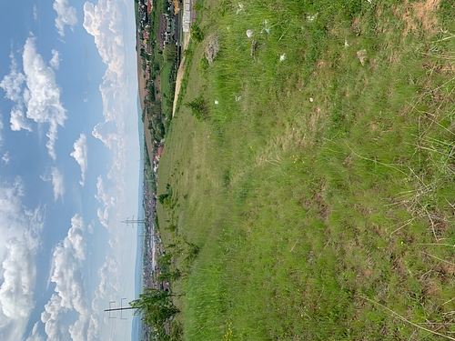 poza 3