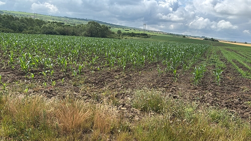 POZĂ TEREN AGRICOL EXTRAVILAN