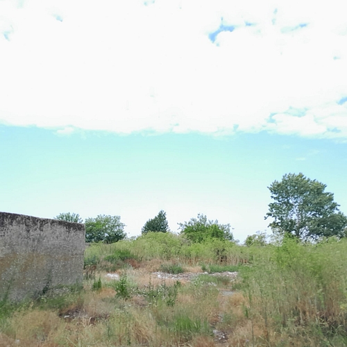 poza 4