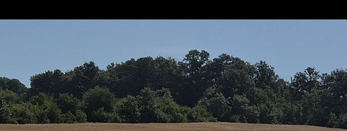 Teren agricol -situat în loc. Mărtineşti, jud. Hunedoara, 374 mp